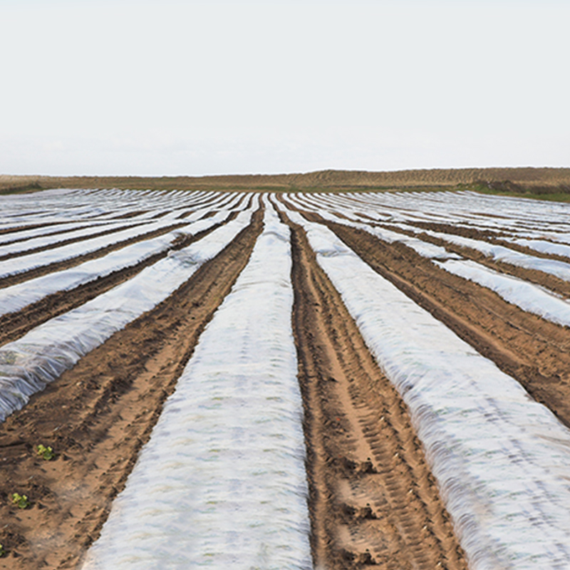 Ultra-brede splicing landbouw niet-geweven stof