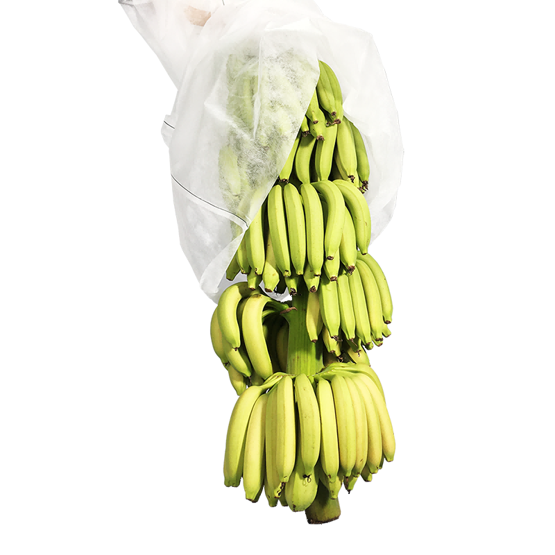 Niet -geweven plantenbedekking bananenzak tuinstof